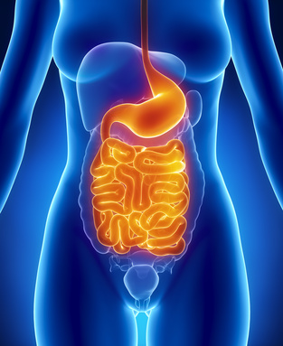 UK based nutritionist Micki Rose on treating (and diagnosing) Histamine Intolerance