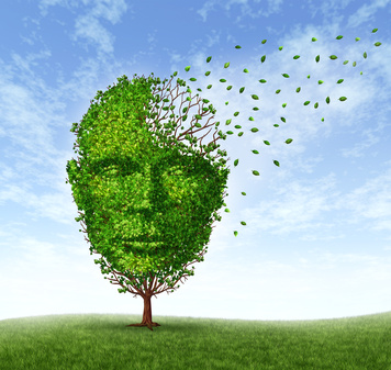 brain