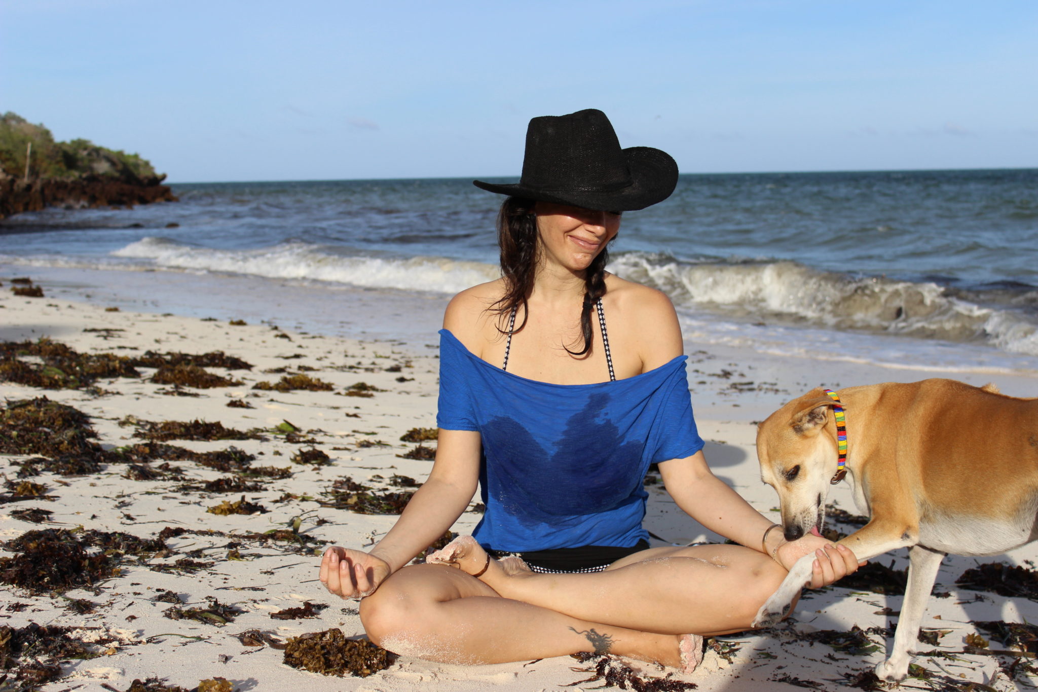 Meditation: antihistamine, mast cell stabiliser, epigenetic superstar