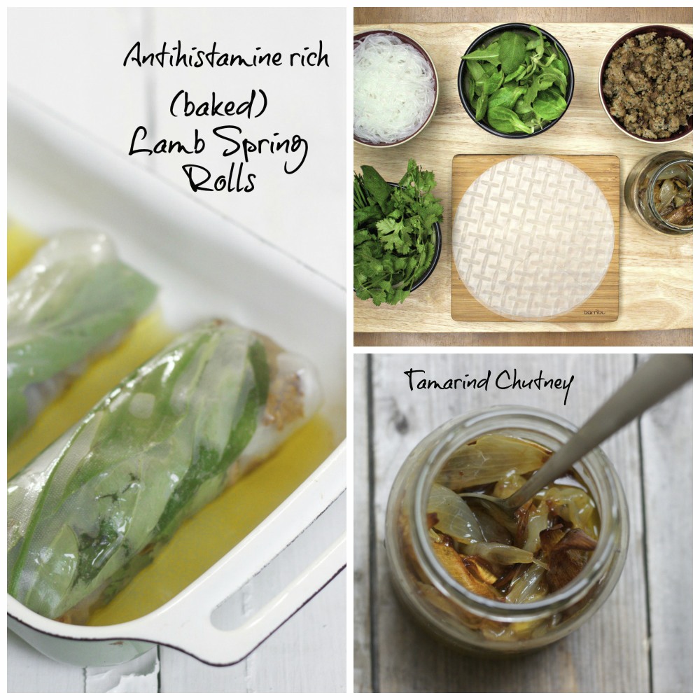 High Nutrient (antihistamine rich) Lamb Spring Rolls