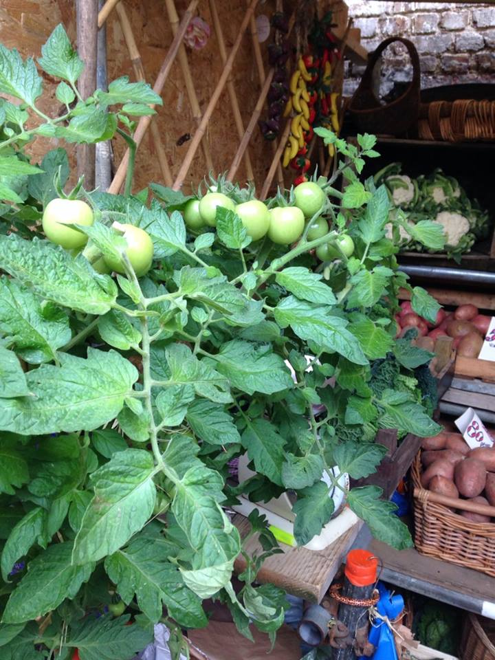 Are you eating these seasonal healing foods?
