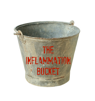 The inflammation bucket (why I can now eat shrimp)