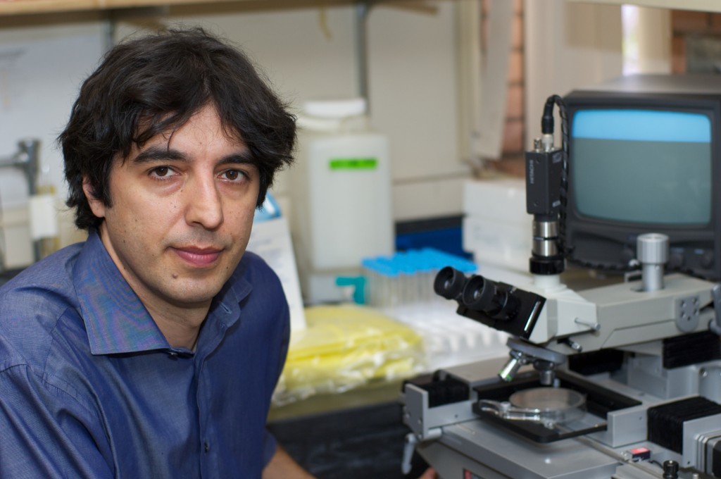 Interview: Fasting Mimicking Diets for Mast Cell Activation & Allergies