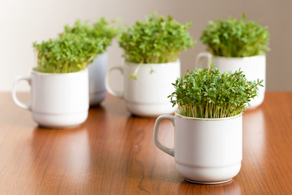 7 BEST foods for histamine intolerance