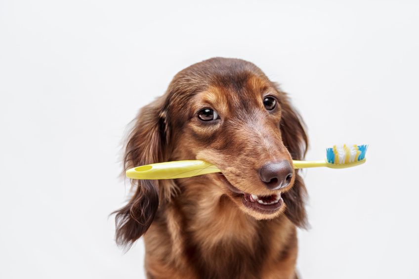 What teeth say about your gut health