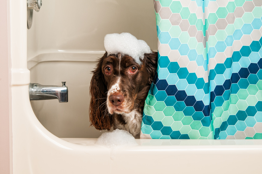 Histamine friendly cleansers and bath products