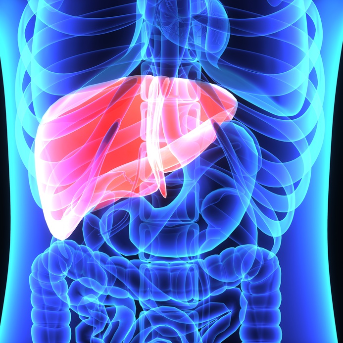 Your Liver on Histamine