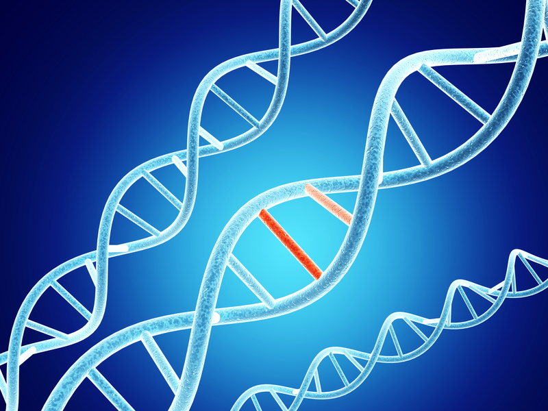 The Genetics of Histamine Intolerance