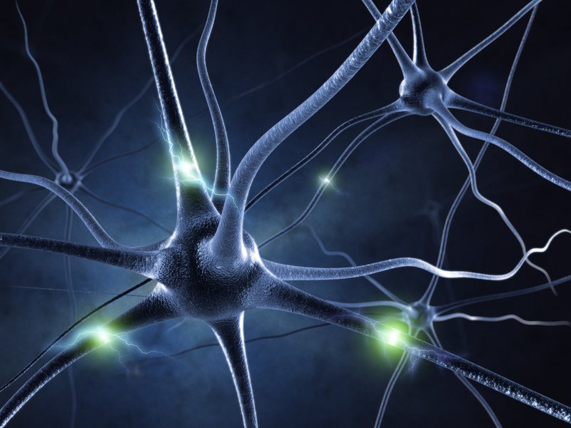 Central Nervous System (CNS) Histamine