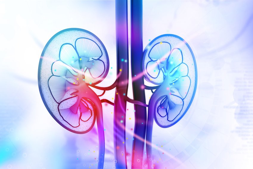 Histamine Involved In Diabetes & Kidney Disease