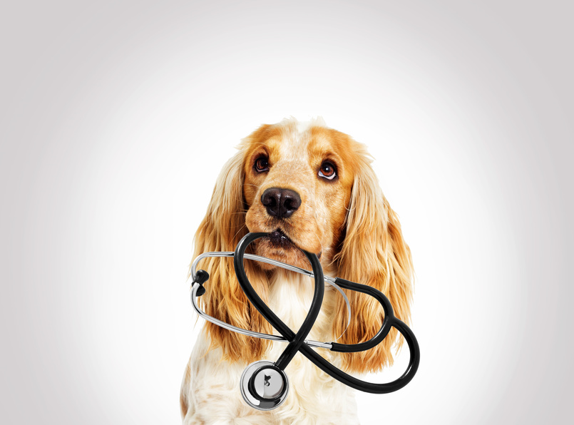 What Your Doctor Needs To Know About Histamine